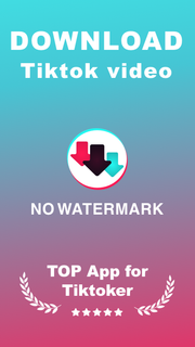 Tiktok Downloader Pro PC