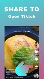 Tiktok Downloader Pro PC