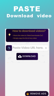 Tiktok Downloader Pro PC