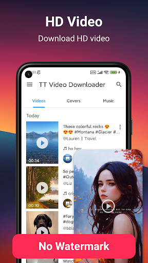Video Downloader No Watermark PC