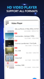 HD Video Player All Formats PC