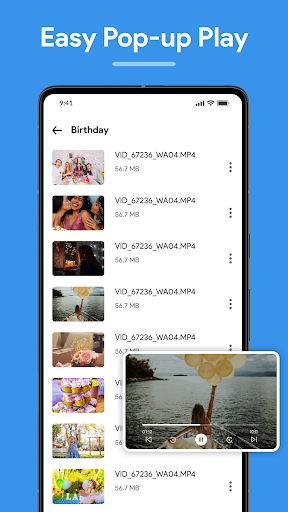 HD Video Player PC