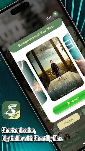 ShortFly Max para PC