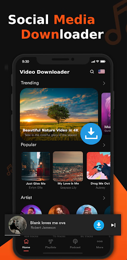 All Video Downloader PC