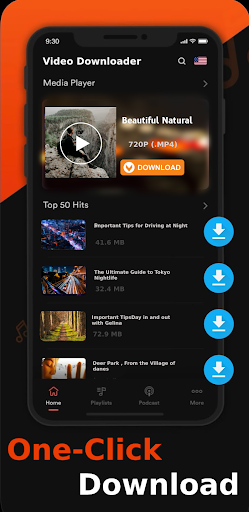 All Video Downloader PC