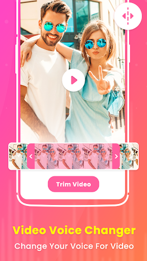 Video Voice Changer PC