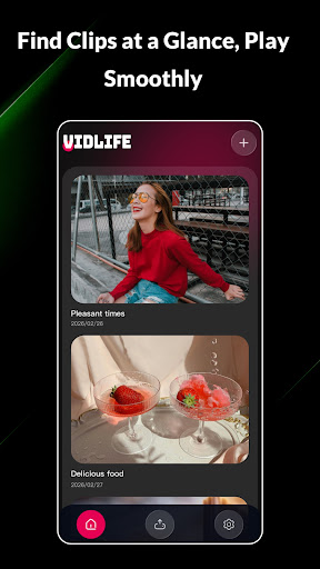 VidLife-Vision Splendor PC