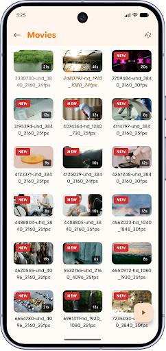 Neu 4K Video Player