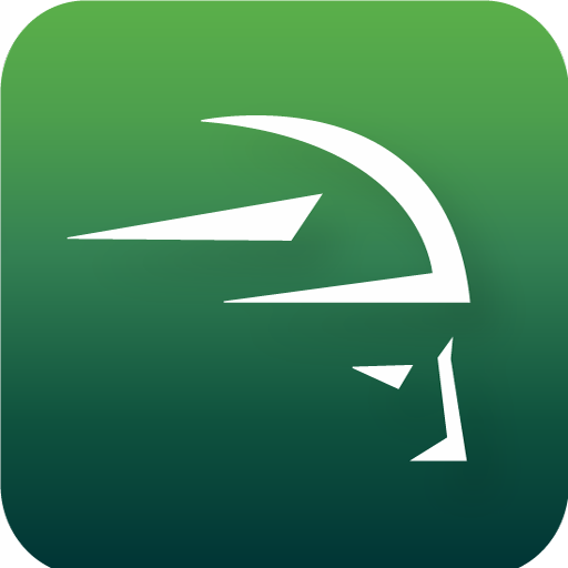 Viking Monitor پی سی