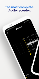 Vocaroo: Online Audio Recorder PC