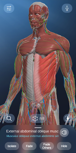 AR Anatomy PC