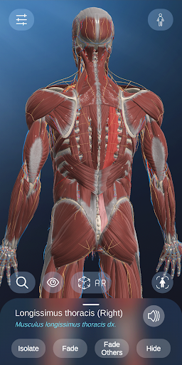 AR Anatomy PC