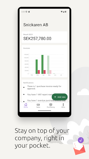 Visma eAccounting PC
