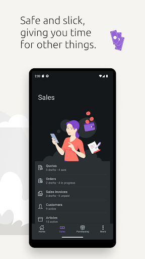 Visma eAccounting PC