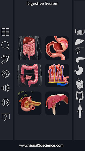 Digestive System PC