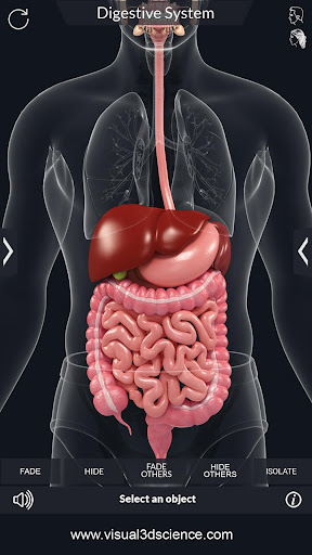 Digestive System PC