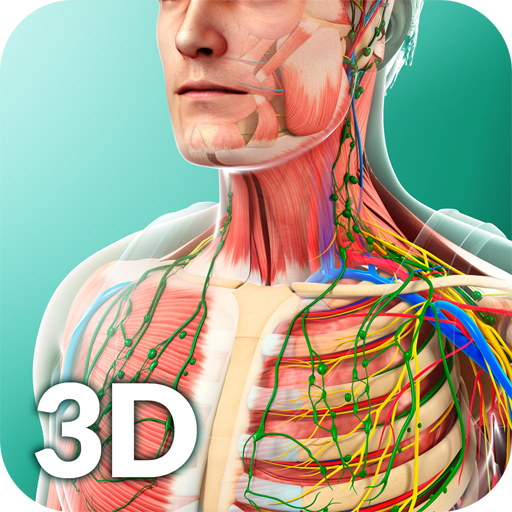 Tải Human Anatomy trên PC với Memu