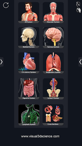 Human Anatomy PC