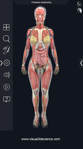 Human Anatomy ПК