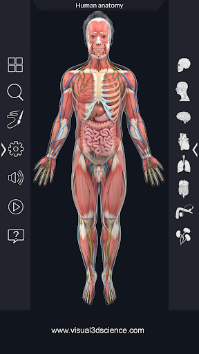Human Anatomy ПК