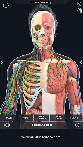 Human Anatomy ПК