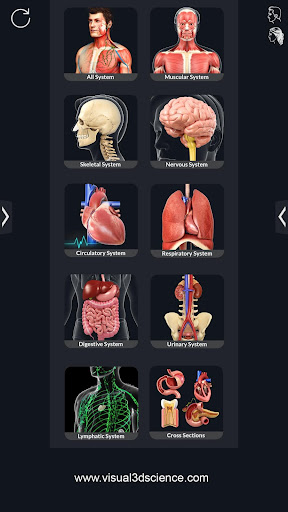 Human Anatomy ПК