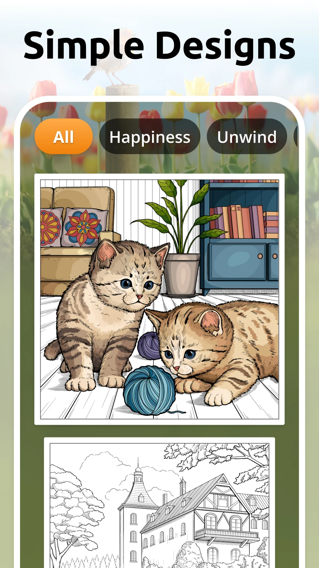 Vita Color: Senior Color Games PC