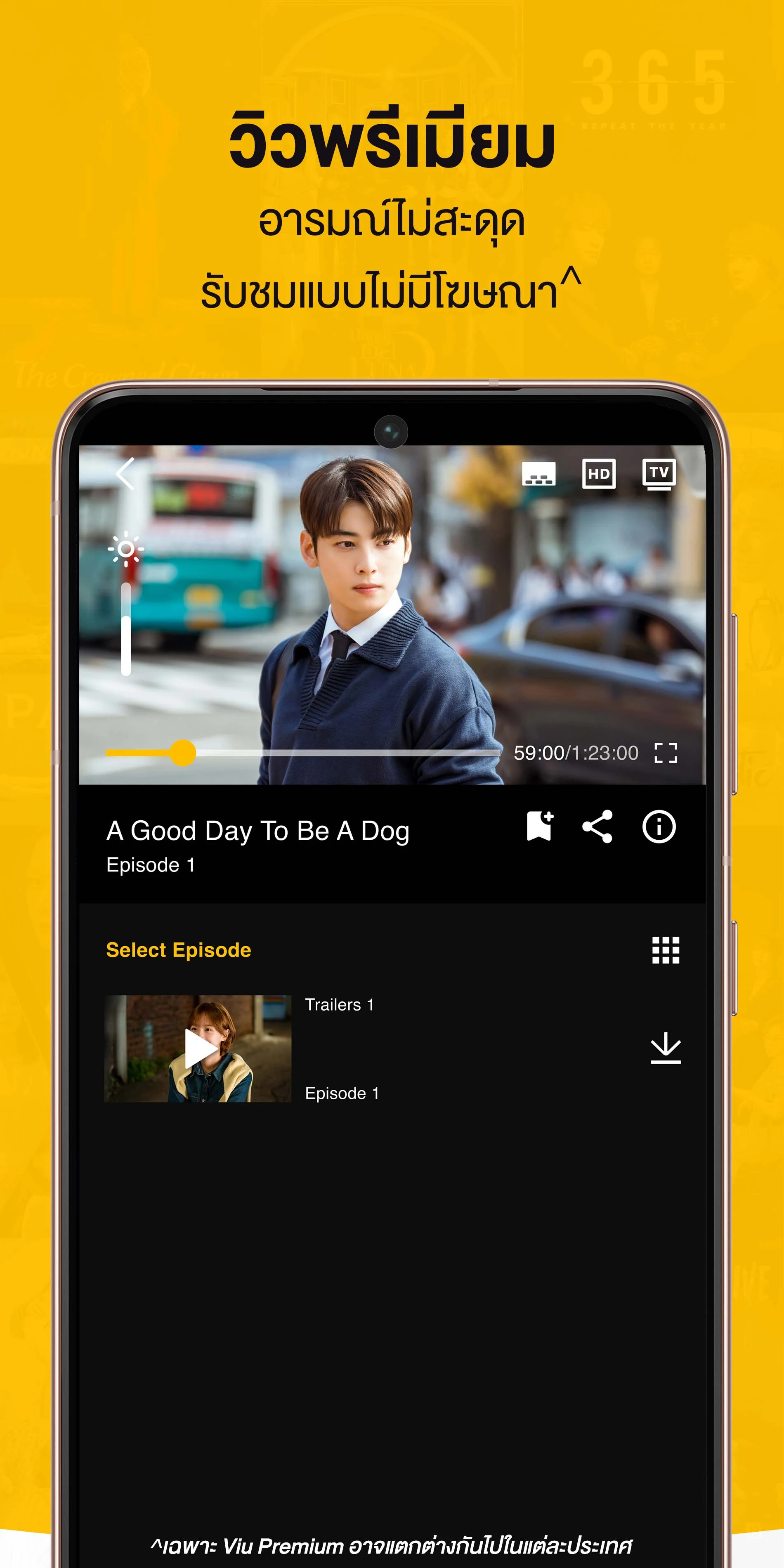 Viu PC