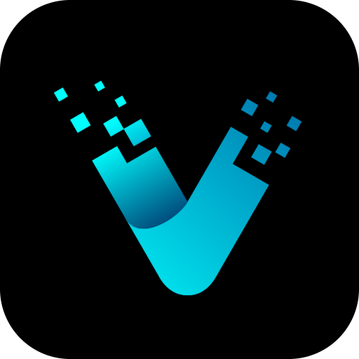 Vizo Lite PC版