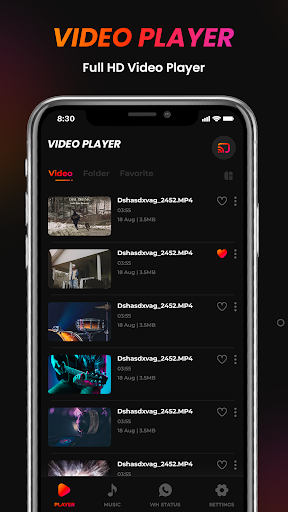 Video Player all Format PC