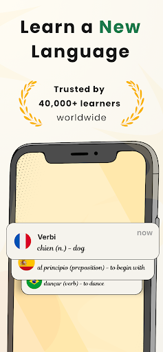 Verbi: Learn a New Language PC
