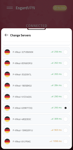 Esgard VPN PC