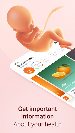 komputer Pregnancy and Due Date Tracker