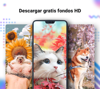 Nox Lucky Wallpaper - HD Directo de Fondo, 4K, 3D