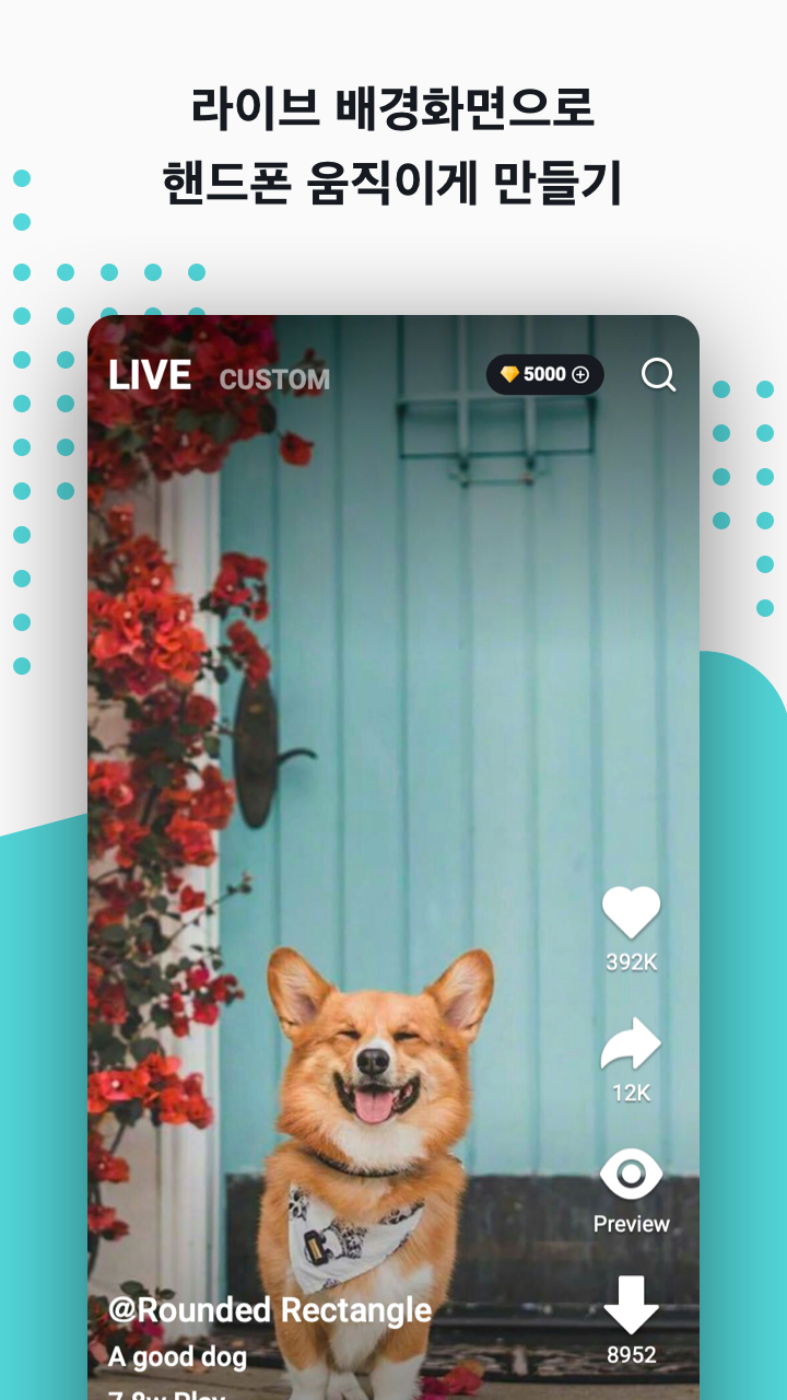 녹스 럭키 배경화면 - 월페이퍼/4K/배경/벽지/바탕 화면/무료 PC