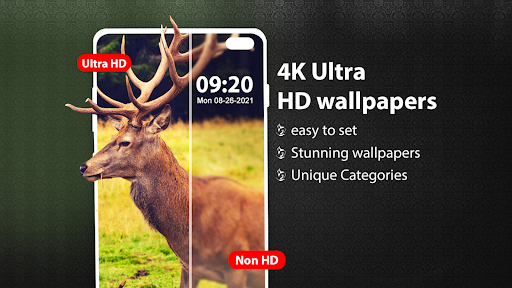 Wallpaper: HD & 4k Wallpapers ?? ??