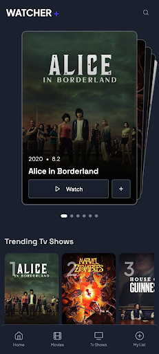 NetMirror - Movies and Series PC