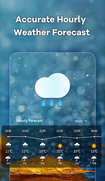 Local Weather電腦版