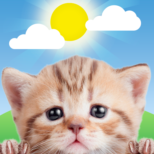 Weather Kitty - App & Widget电脑版