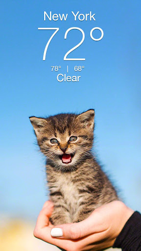 Weather Kitty - App & Widget电脑版