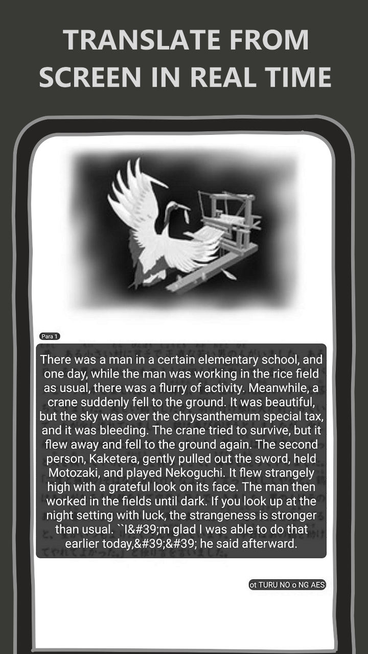 RealTime Screen Translator PC