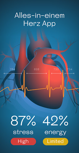 Welltory: HRV, Stress, Herz PC