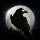 Night Crow PC