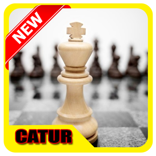 Catur Offline PC