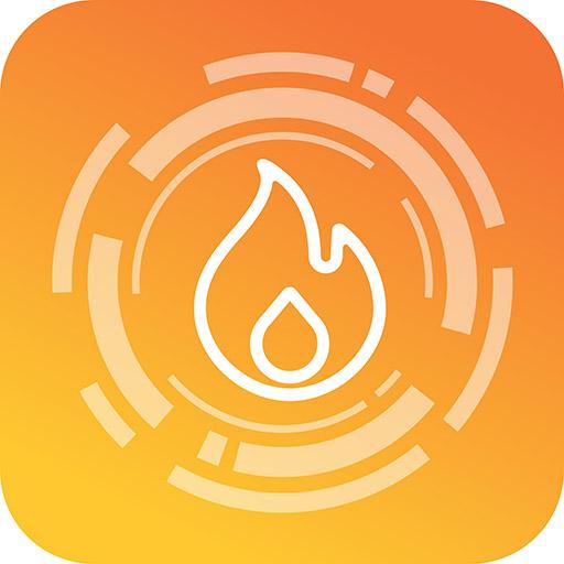 Whalen Premier Fireplace