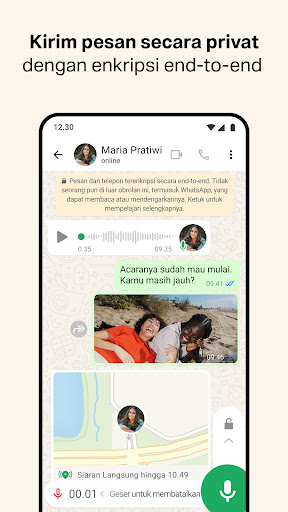 WhatsApp Messenger