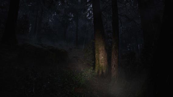 komputer Whispers in the Fog