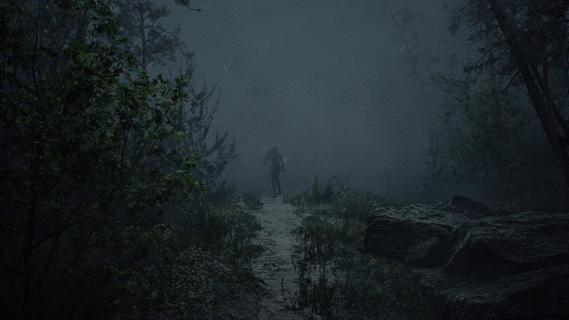 Whispers in the Fog PC