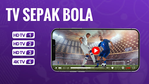 Televisi sepak bola PC