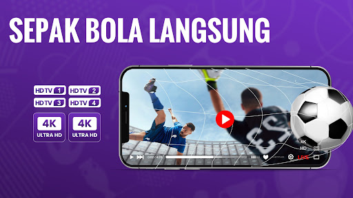 Televisi sepak bola PC